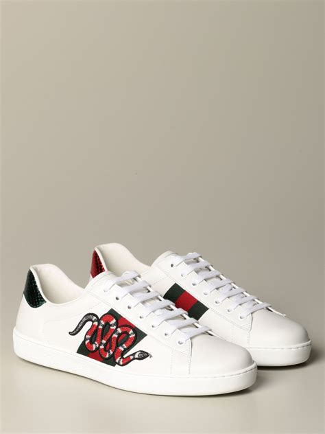 scarpe di gucci da donna|Gucci trendy sneakers.